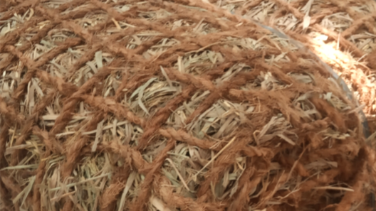 peluang bisnis cocomesh dalam pasar karbon hijau